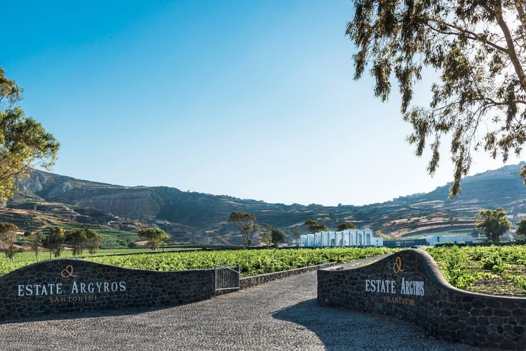 Νέα στρατηγική συνεργασία της Trinity Wines με το Κτήμα Αργυρού